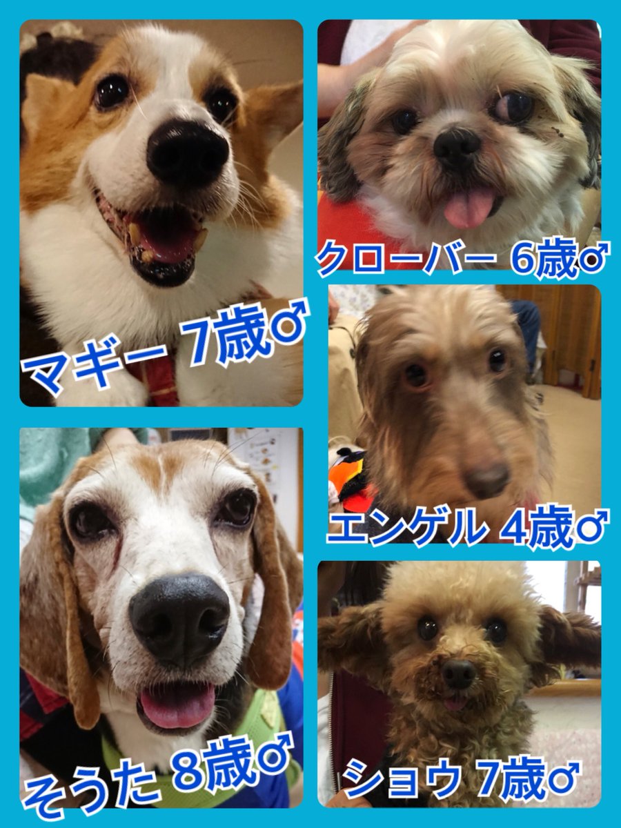 2018,10,20